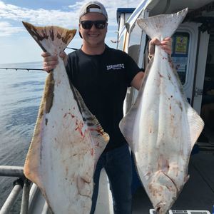 Meet your Posher, Will